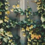 日本动漫无码av免费播放 2idxmv