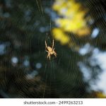 亚洲区色影 61q7s