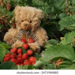 国产精产视频在线观看 670goa