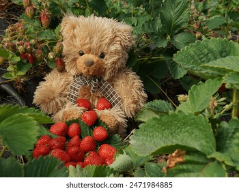 亚洲另类春色校园小说