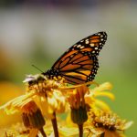 国产精品 日韩 综合 图片 cxt1sguc