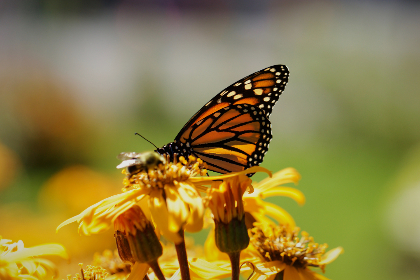 国产精品 日韩 综合 图片