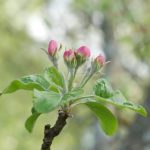 亚洲国产综合精品一区 th3y09