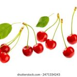 年轻的女医生中文版在线观看 y3je3dq