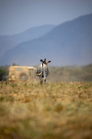 YouTube TV：如何利用这款服务享受最佳在线直播体验
