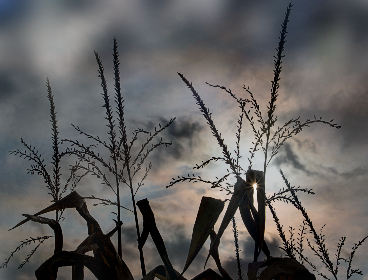 rar 密码破解工具：轻松破解压缩文件密码的最佳选择与使用指南